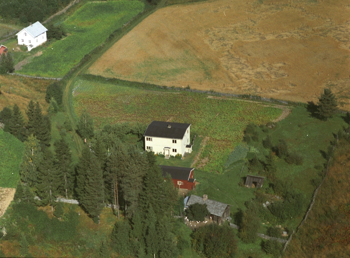 Widerøes Flyveselskap A/S, Flyfoto, Engelien med gnr/bnr 193/5, Stensengdalen, Ringsaker.