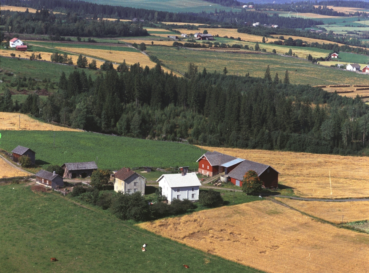 Widerøes Flyveselskap A/S, Flyfoto, Hersethhøgda, Ringsaker.