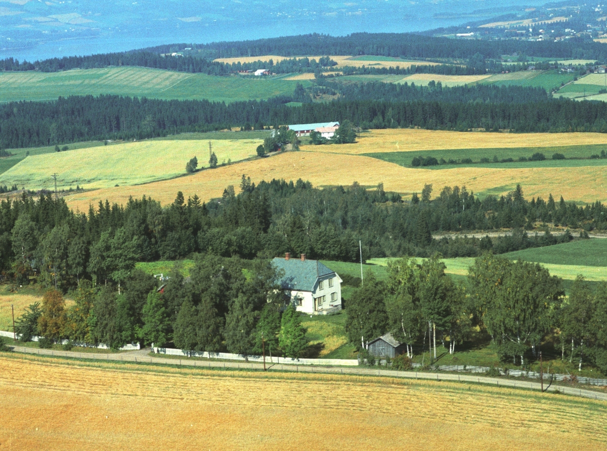 Widerøes Flyveselskap A/S, Flyfoto, Hylla, bolig, Gaupen, Ringsaker.