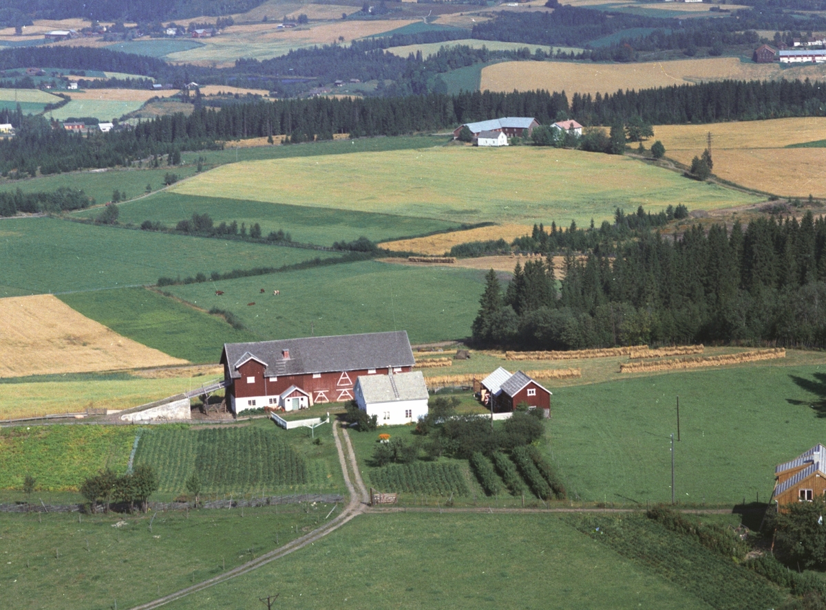 Widerøes Flyveselskap A/S, Flyfoto, Amsødegården, Gaupen, Ringsaker.