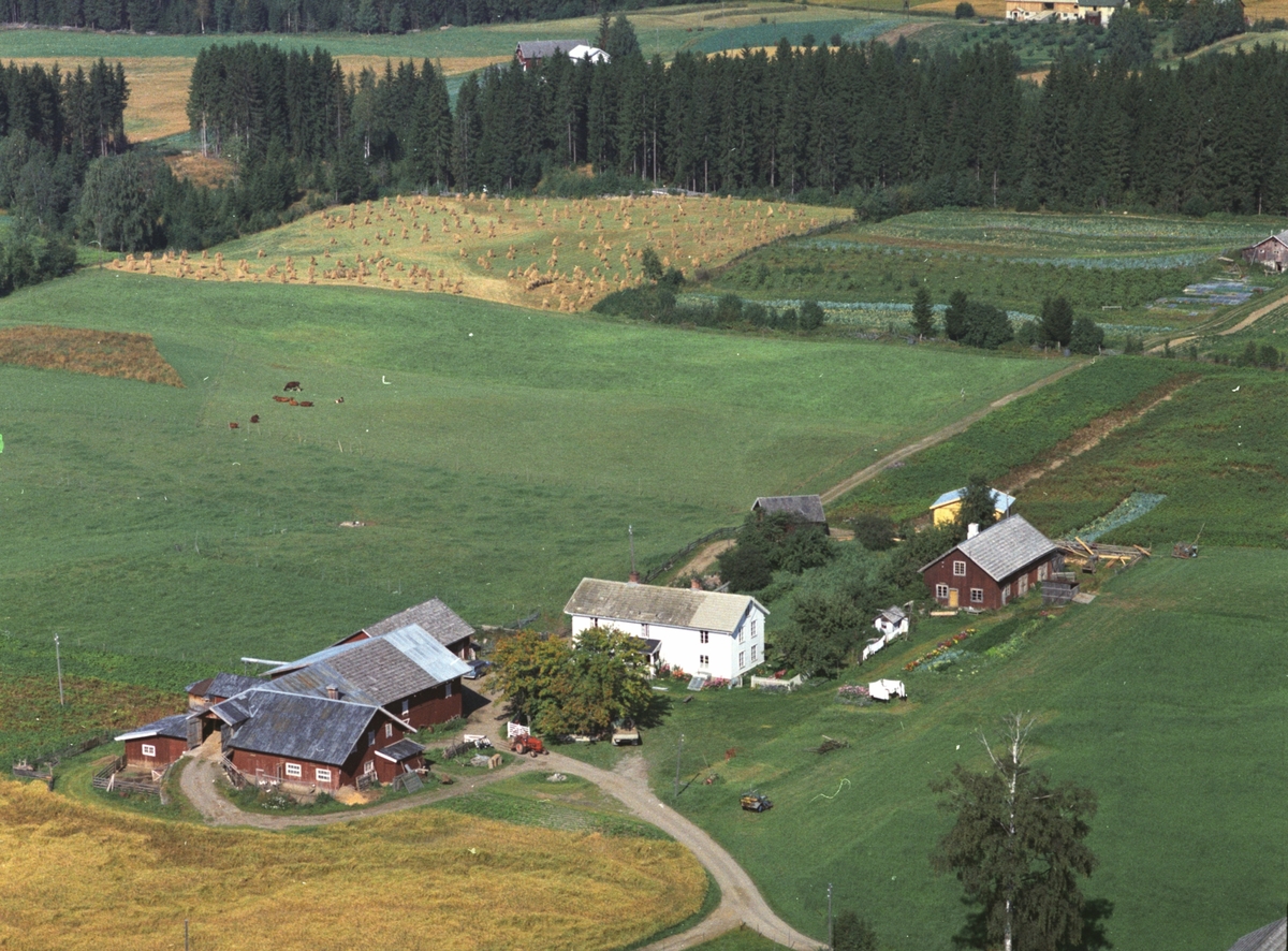 Widerøes Flyveselskap A/S, Flyfoto, Haugom, Gaupen, Ringsaker.