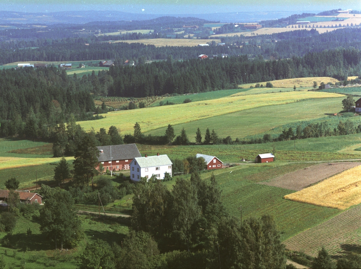 Widerøes Flyveselskap A/S, Flyfoto av Haug gård, Gaupen, Hedmark.