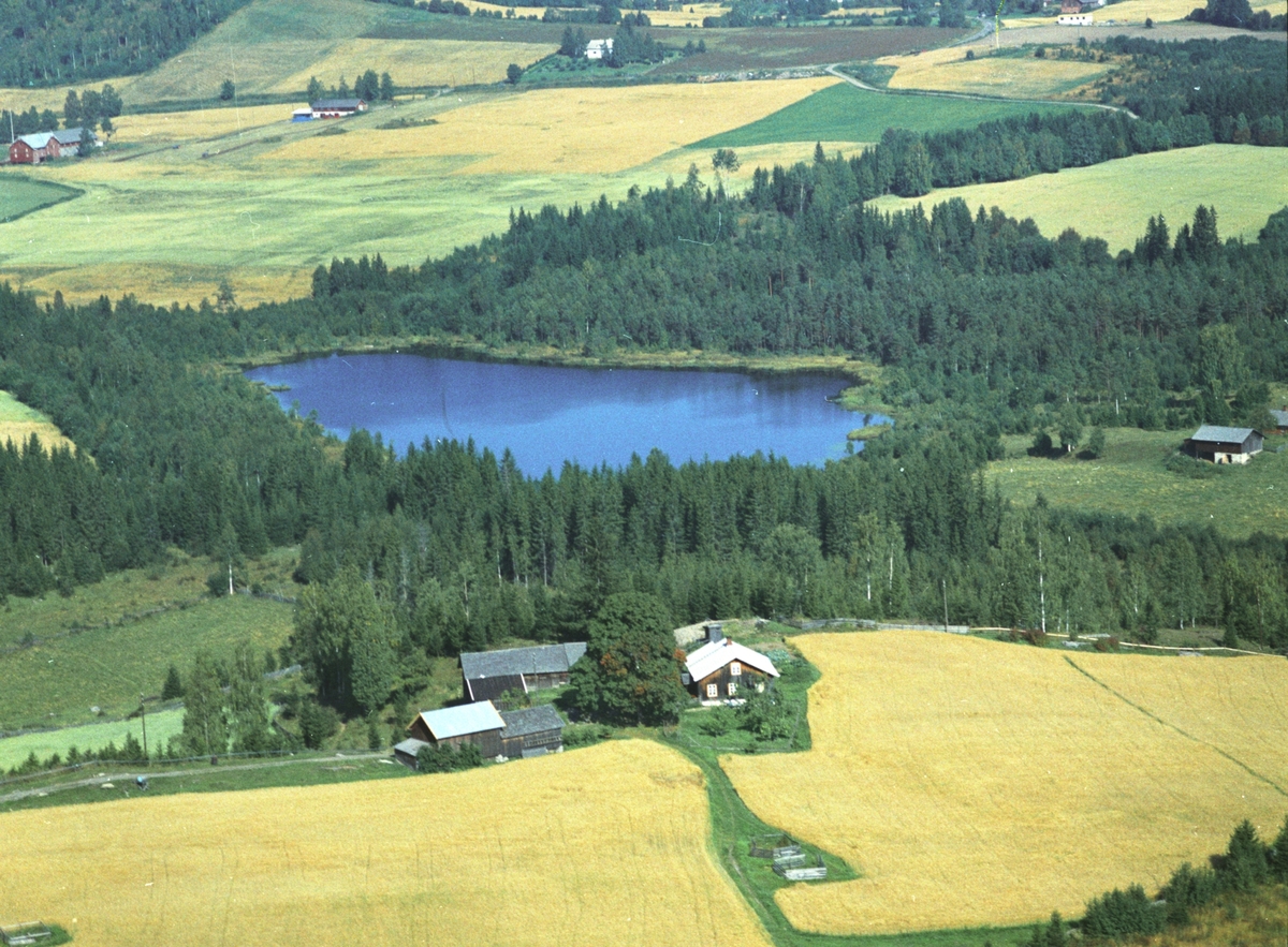 Widerøes Flyveselskap A/S, Flyfoto, Hagen nedre, Sautjernet, Gaupen, Ringsaker.