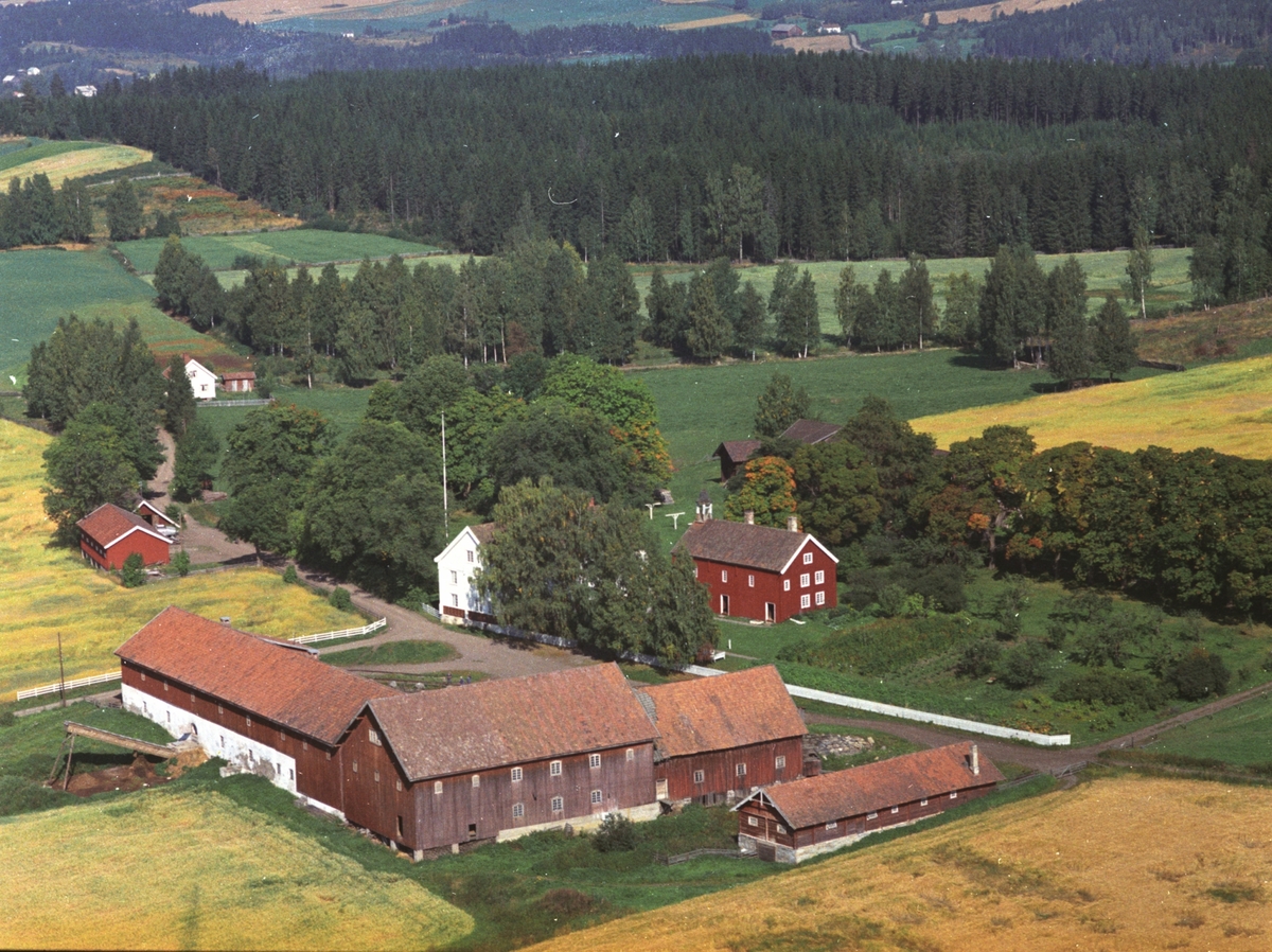 Widerøes Flyveselskap A/S, Flyfoto, Revling gard, Gaupen, Ringsaker.