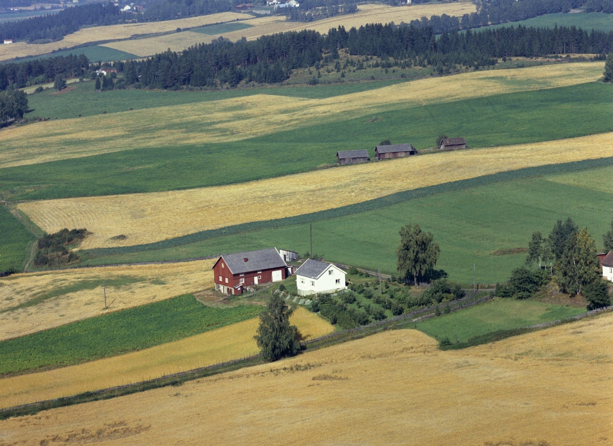 Widerøes Flyveselskap A/S, Flyfoto, Engen, Gaupen, Ringsaker.