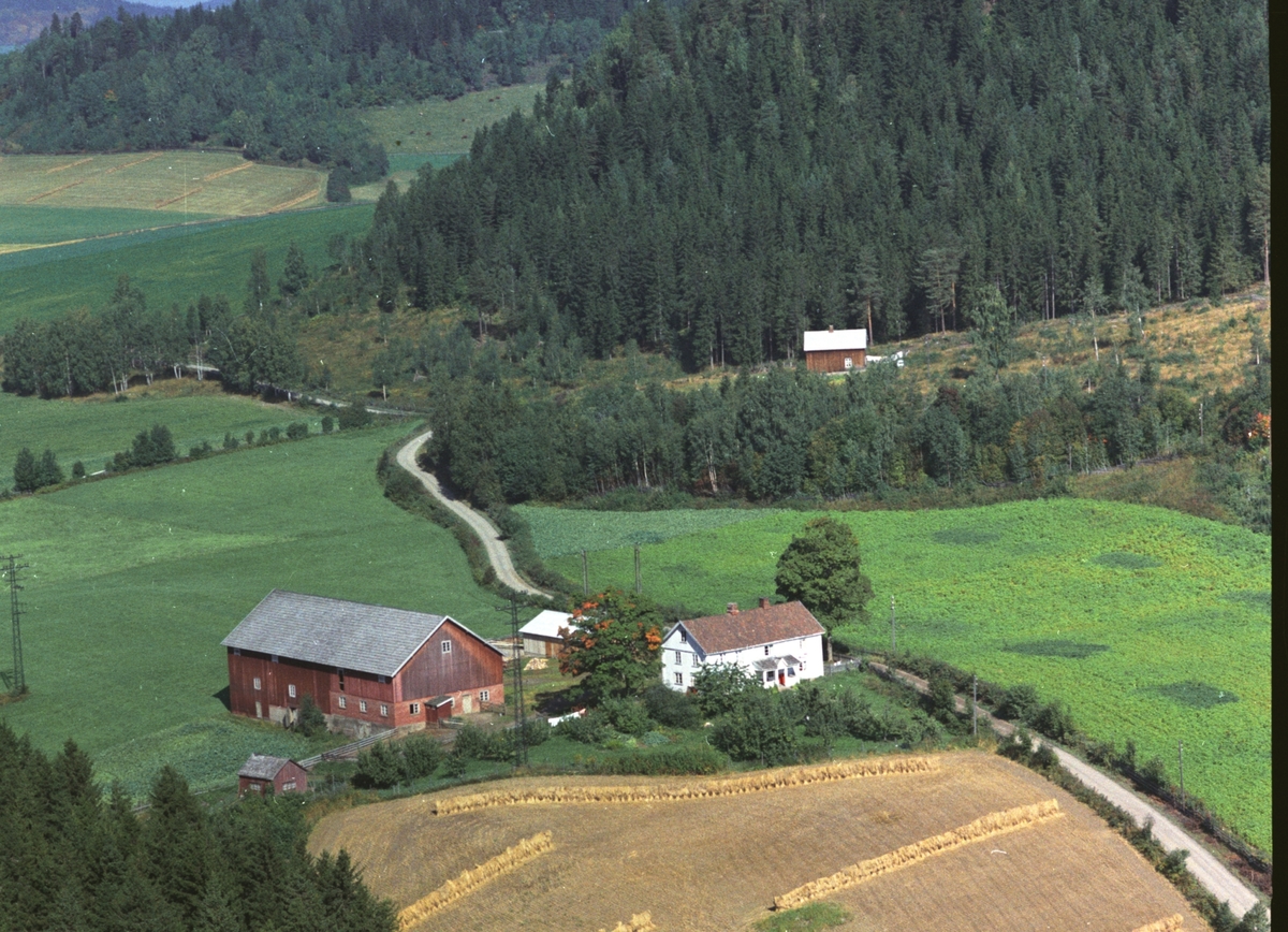 Widerøes Flyveselskap A/S, Flyfoto, Mæhlum lille, Gaupen, Ringsaker.