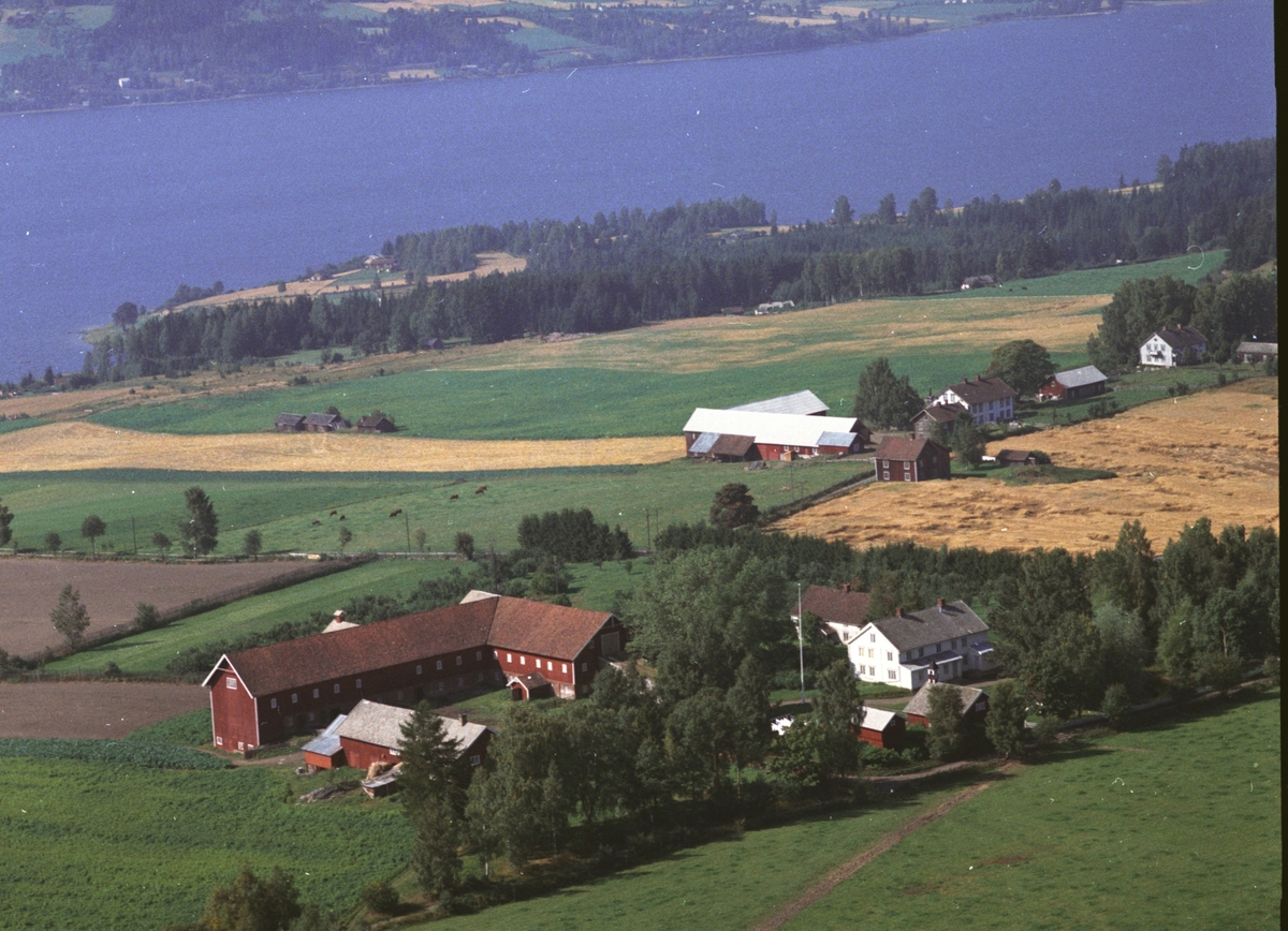 Widerøes Flyveselskap A/S, Flyfoto, Saustad østre, Ringsaker.