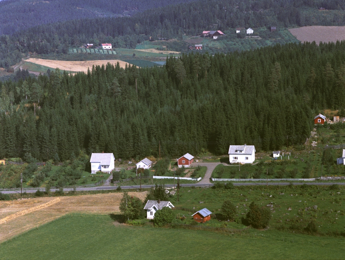 Widerøes Flyveselskap A/S, Flyfoto, Granly, Prestegardskogen, Ringsaker.