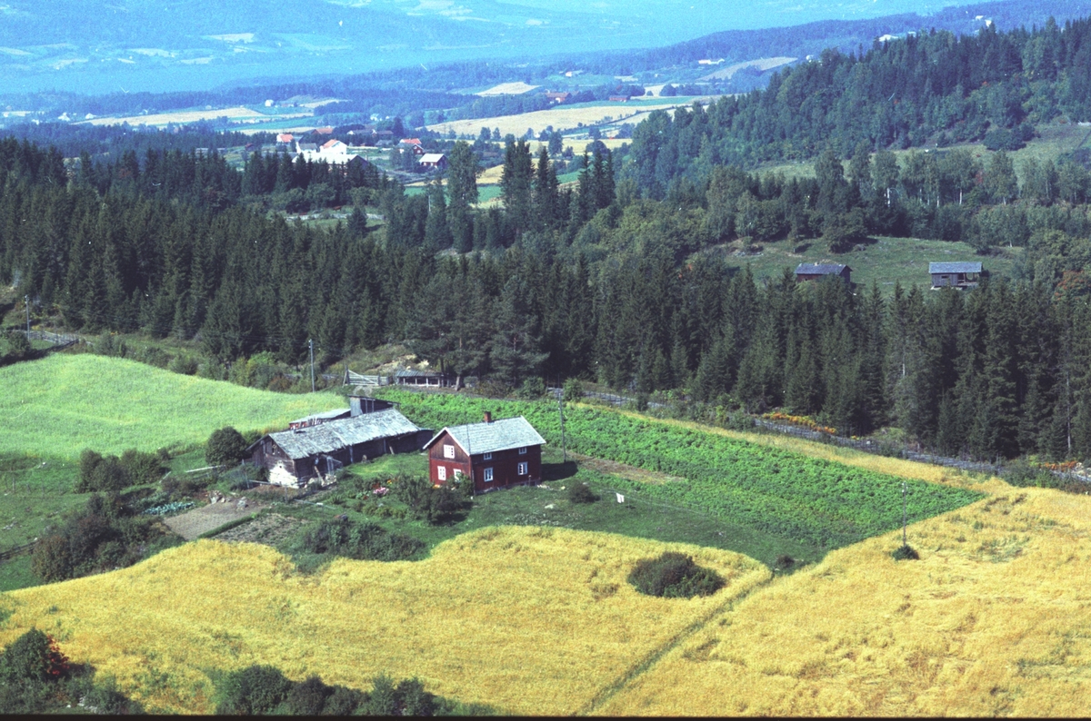 Widerøes Flyveselskap A/S, Flyfoto, Midtimellom, husmannsplass, Ringsaker.