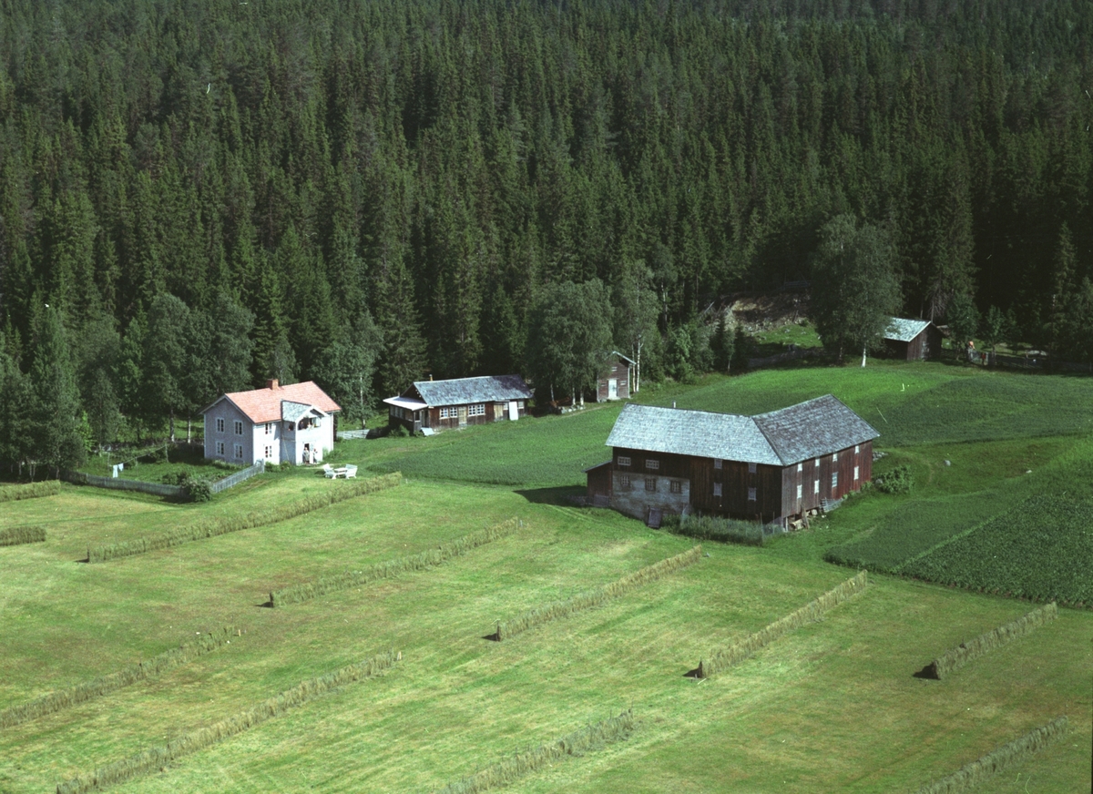 Widerøes Flyveselskap A/S, Flyfoto, Bergundbakken, Ringsaker.