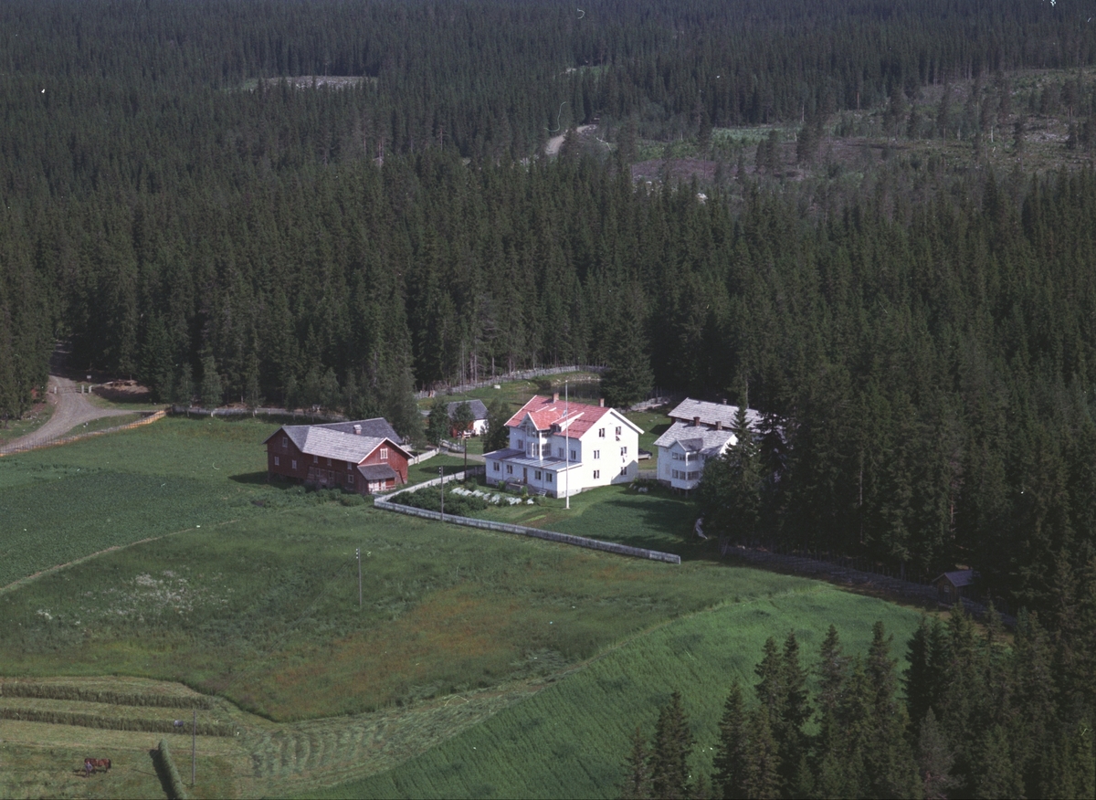 Widerøes Flyveselskap A/S, Flyfoto, Mesnabakken, Mesnalia, Ringsaker.