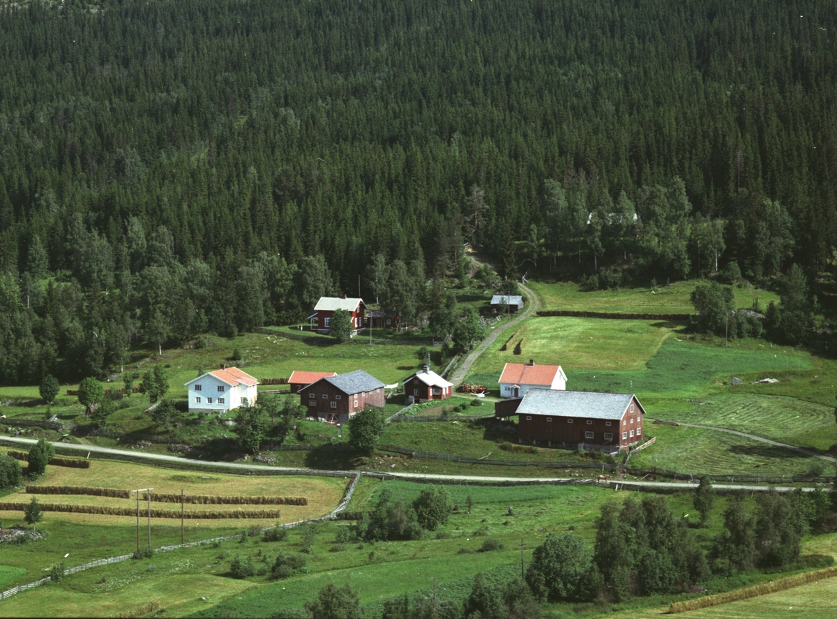 Widerøes Flyveselskap A/S, Flyfoto, Håkenstad gard, Mesnalia, Ringsaker.