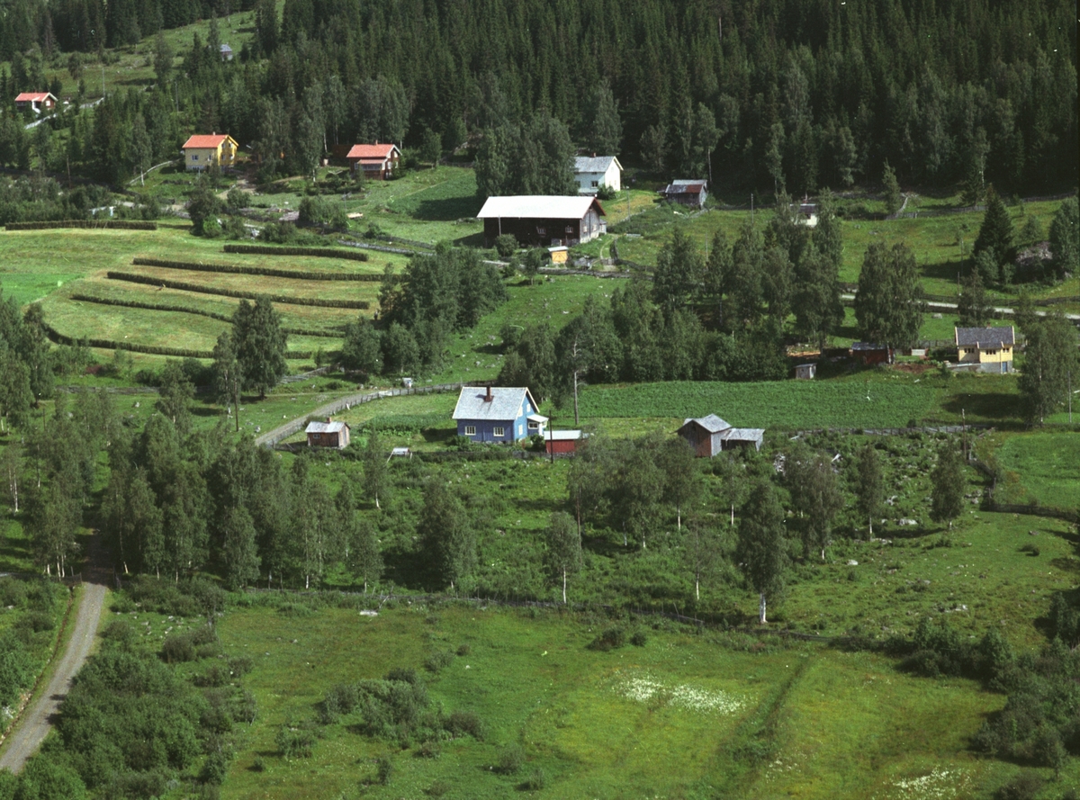 Widerøes Flyveselskap A/S, Flyfoto, Olestad, Mesnalia, Ringsaker.