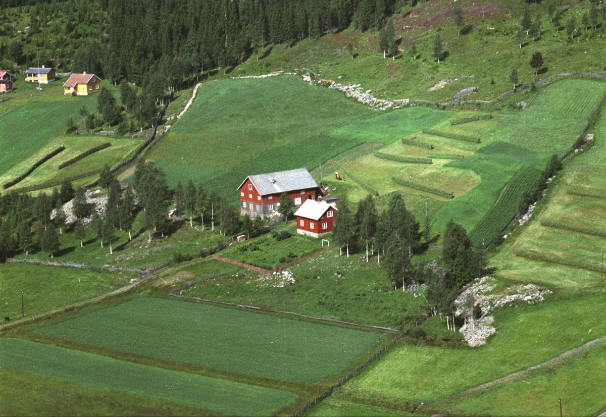 Widerøes Flyveselskap A/S, Flyfoto, Oddsæter (Mariendal), Mesnalia, Ringsaker.