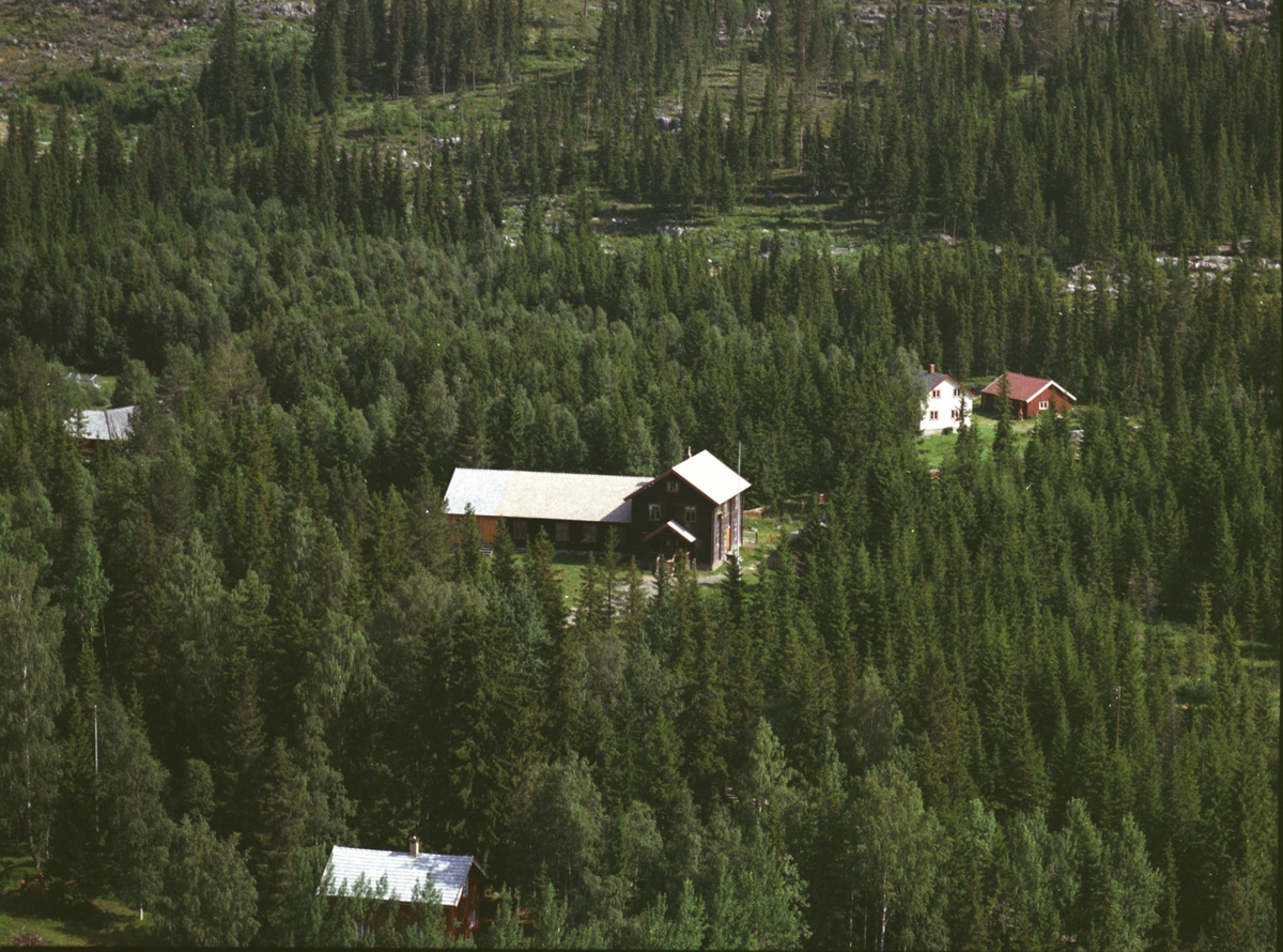 Widerøes Flyveselskap A/S, Flyfoto, Fjellnær forsamlingslokale, Mesnalia, Ringsaker.