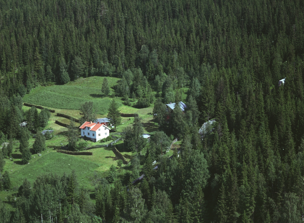Widerøes Flyveselskap A/S, Flyfoto, Øverenga, rørgate, Mesnalia, Ringsaker.