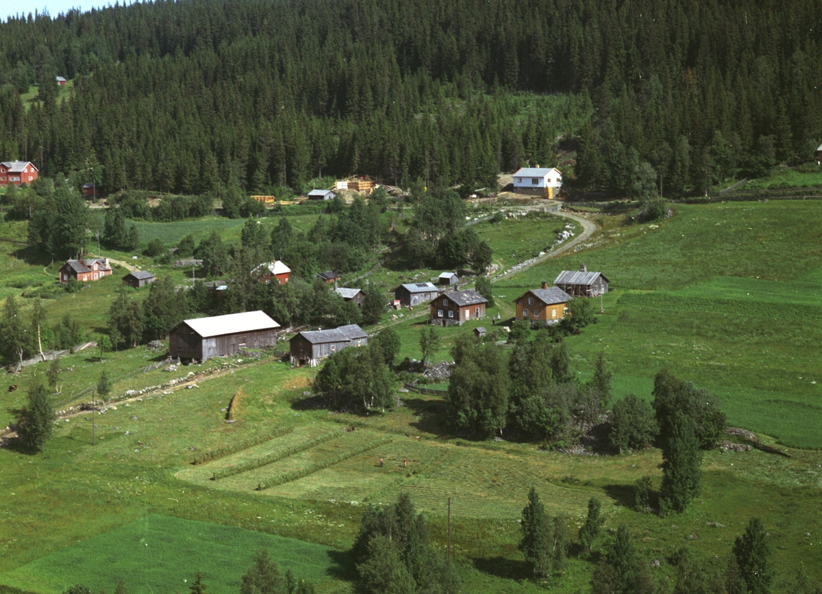 Widerøes Flyveselskap A/S, Flyfoto, Mesnlia nordre, Mesnalia, Ringsaker.