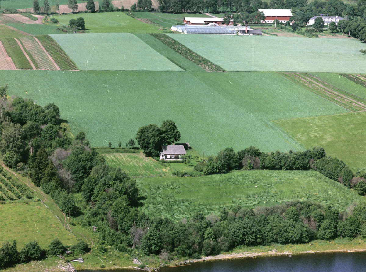 Widerøes Flyveselskap A/S, Flyfoto, småbruk, Grefsheim, Mjøsa, Nes, Hedmark.