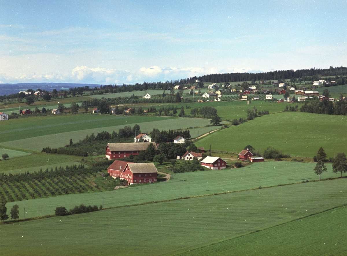 Widerøes Flyveselskap A/S, Flyfoto, gardsbruk, Skjelve østre, Nes, Hedmark.