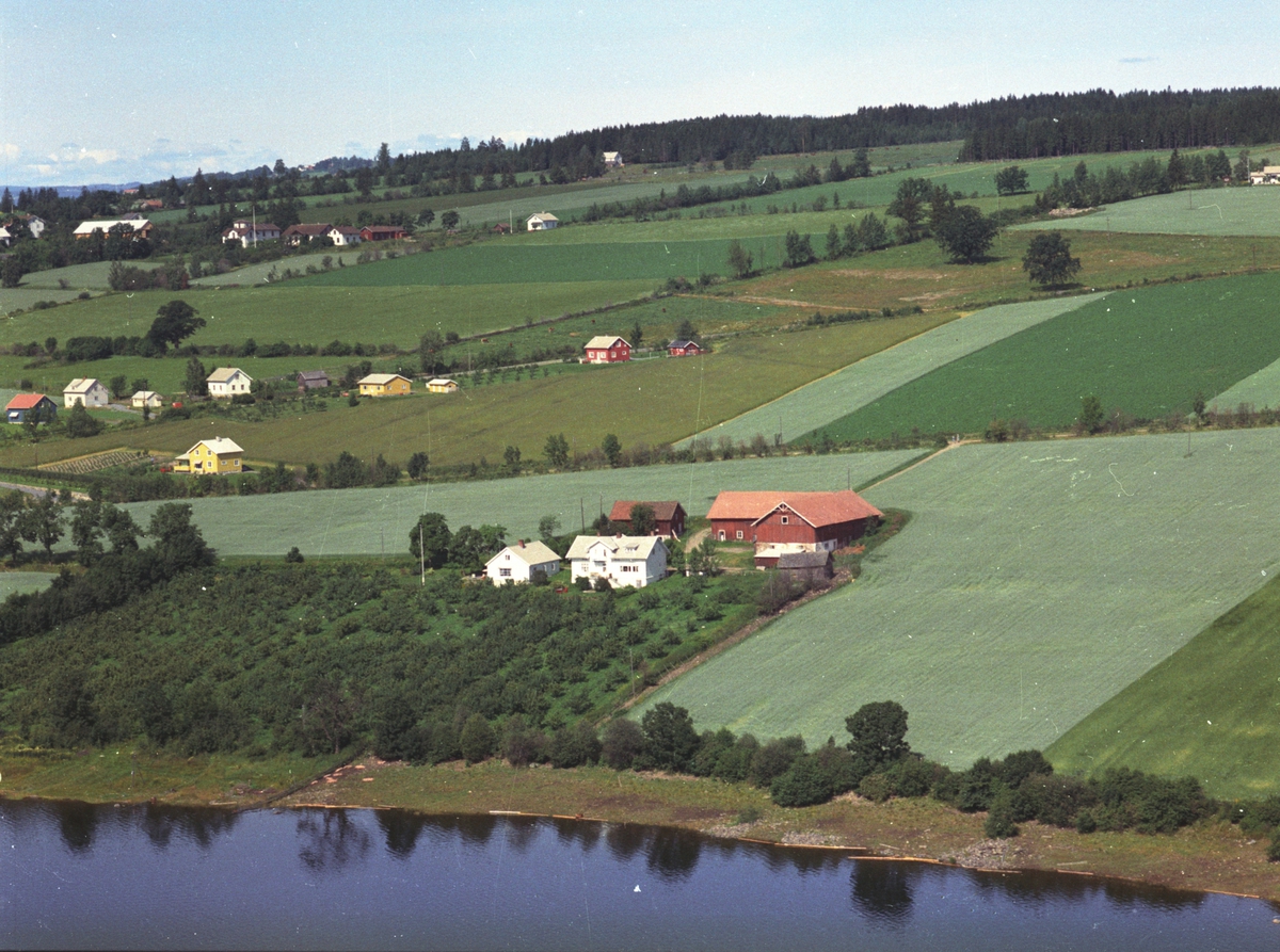 Widerøes Flyveselskap A/S, Flyfoto, gardsbruk, frukttrær, Frydenlund, Nes, Hedmark.