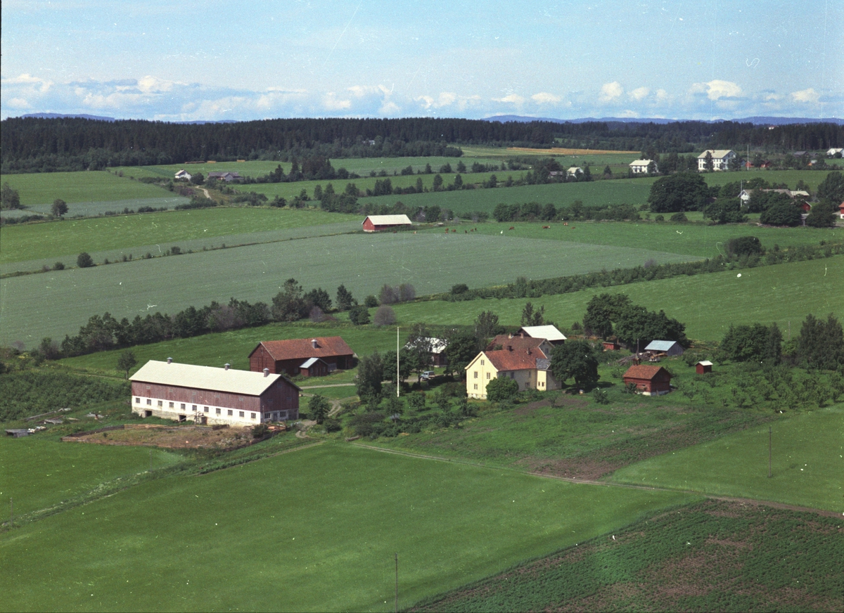 Widerøes Flyveselskap A/S, Flyfoto, gardsbruk, Balstad, Nes, Hedmark.