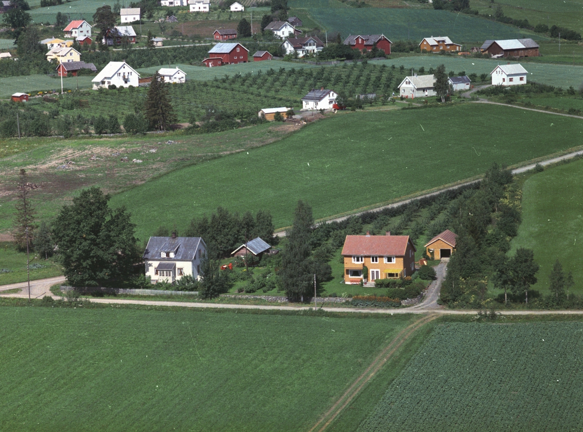 Widerøes Flyveselskap A/S, Flyfoto, Tingnes, bebyggelse ved Skjelvevegn, Bryggevegen, Nes, Hedmark.
