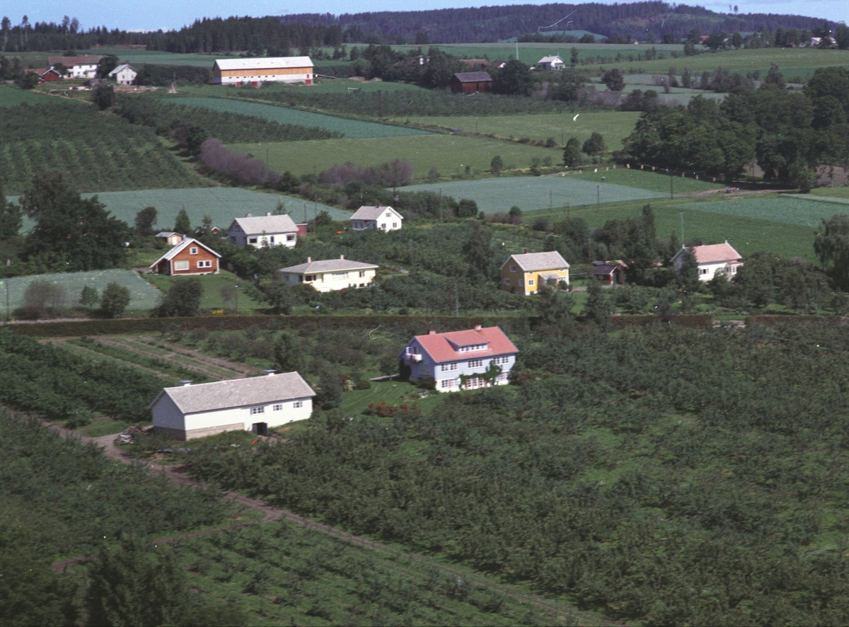 Widerøes Flyveselskap A/S, Flyfoto, småbruk, Mjøshagen, frukttrær, Nes, Hedmark.