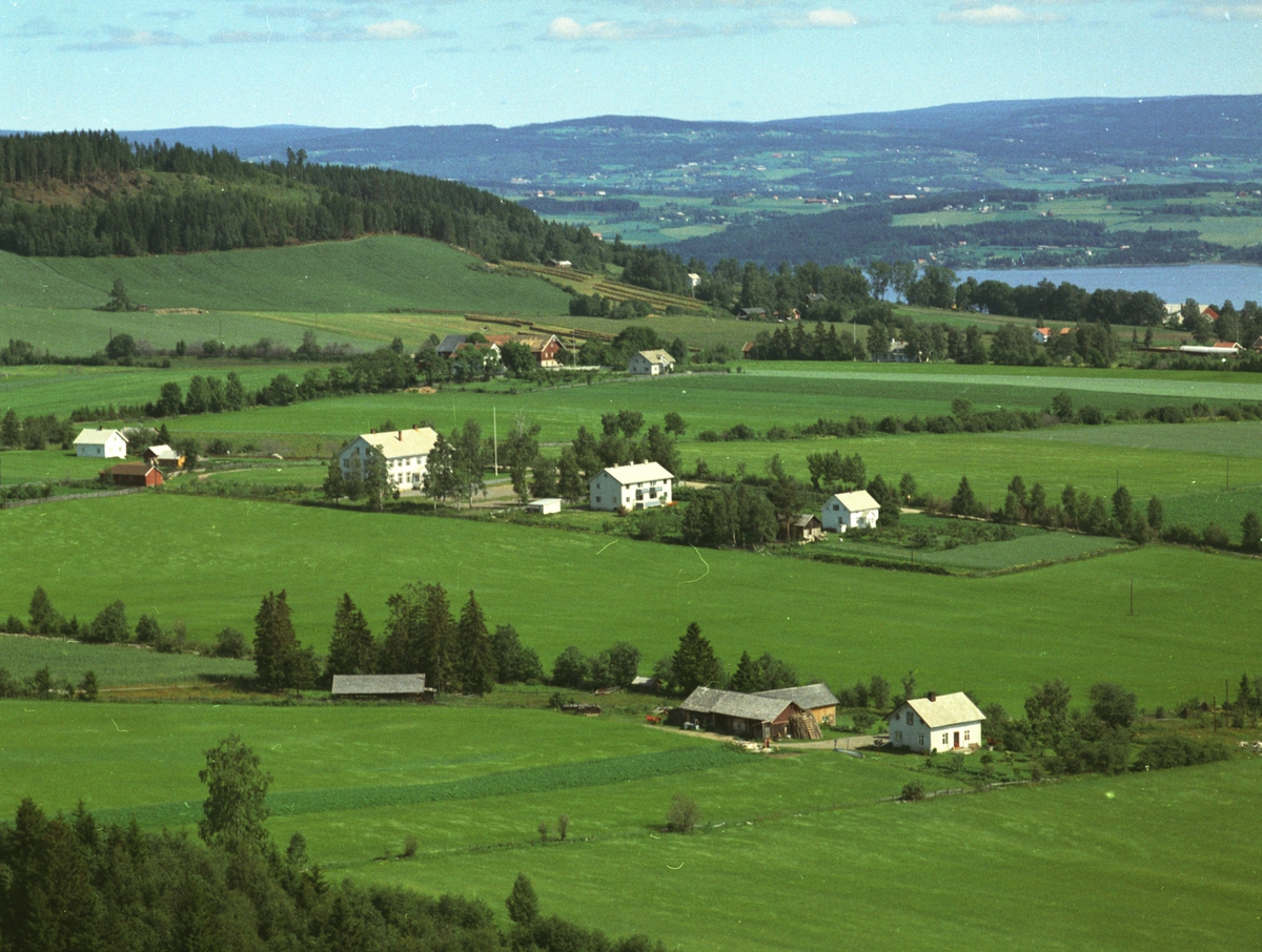 Widerøes Flyveselskap A/S, Flyfoto, skole, Årengen, lærerbolig, Nes, Hedmark.