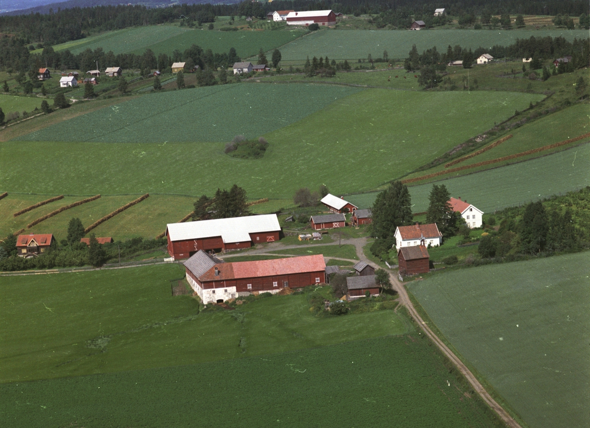 Widerøes Flyveselskap A/S, Flyfoto, gardsbruk, Kvam, Nes, Hedmark.