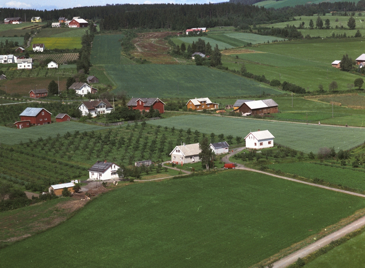 Widerøes Flyveselskap A/S, Flyfoto, Tamburstuen med gult våningshus, Freberg, tidligere landhandleri til vesntre, Nes, Hedmark.