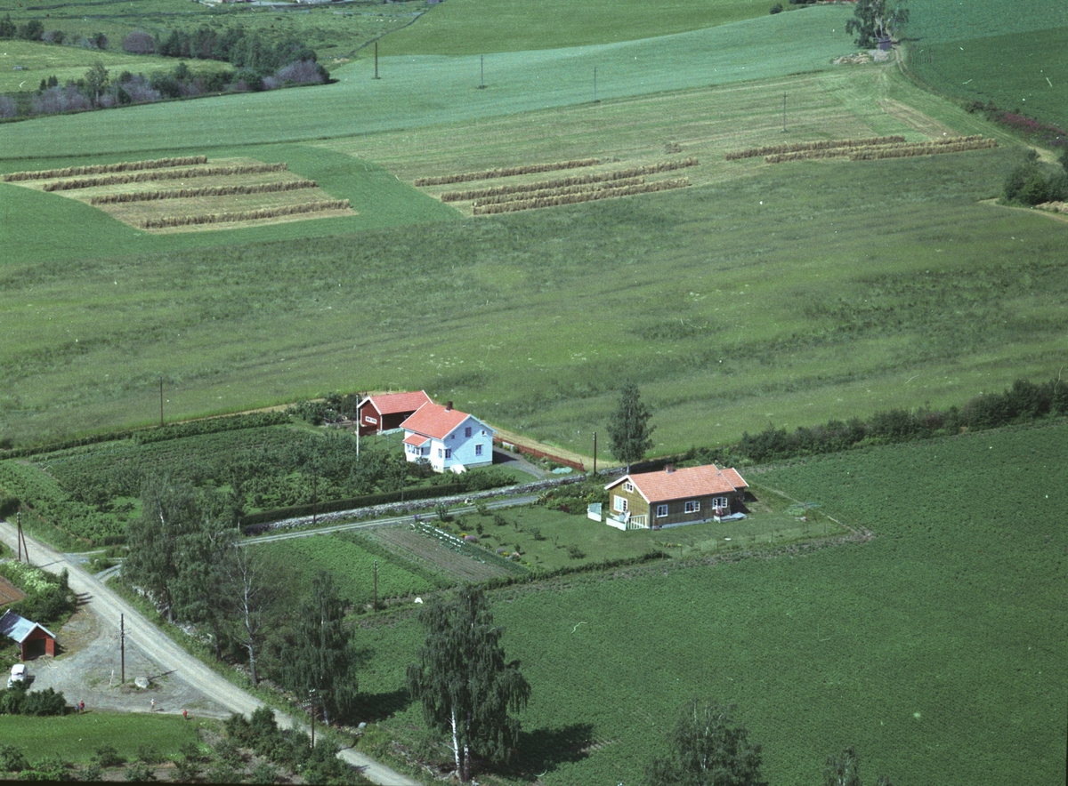 Widerøes Flyveselskap A/S, Flyfoto, landskap, Haug, Grefsheimvegen 78, Nes, Hedmark.
