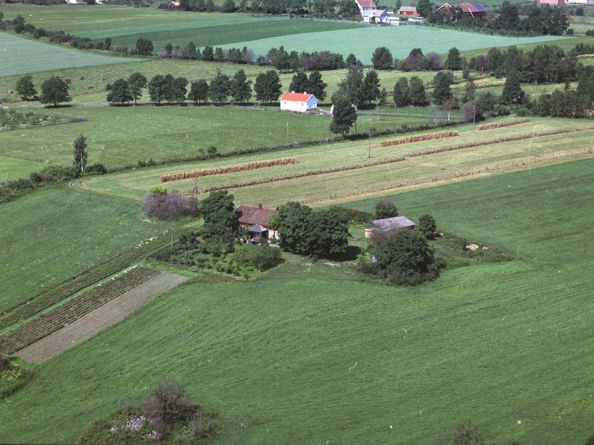 Widerøes Flyveselskap A/S, Flyfoto, Vekerhaug under Haug nedre. Sveiserbolig på Hoelstad i bakgrunn, Nes, Hedmark.
