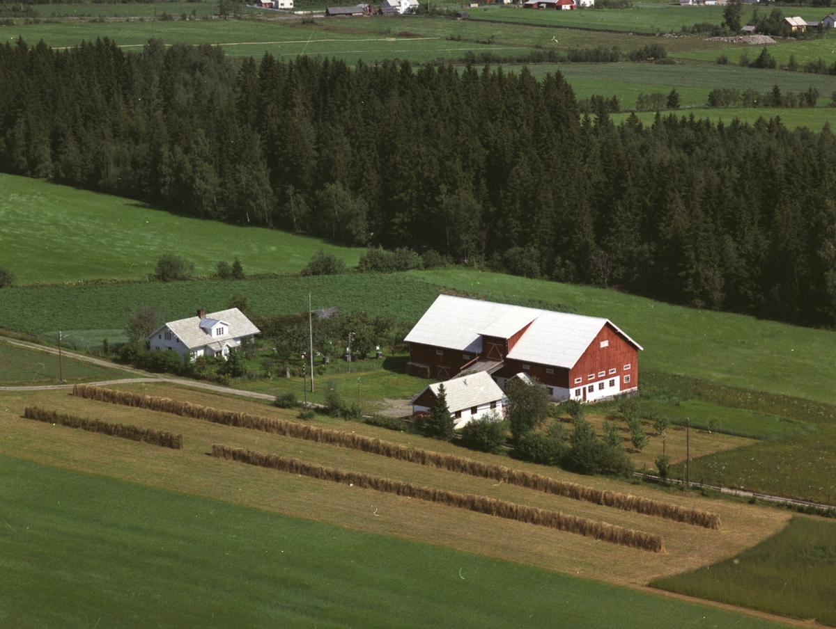 Widerøes Flyveselskap A/S, Flyfoto, gardsbruk, Skjelvmoen, Nes, Hedmark.