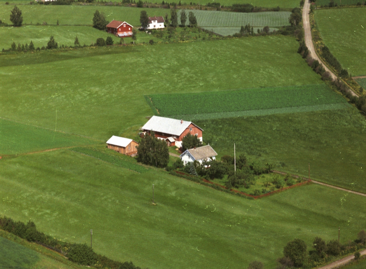 Widerøes Flyveselskap A/S, Flyfoto, småbruk, Grini, Nes, Hedmark.