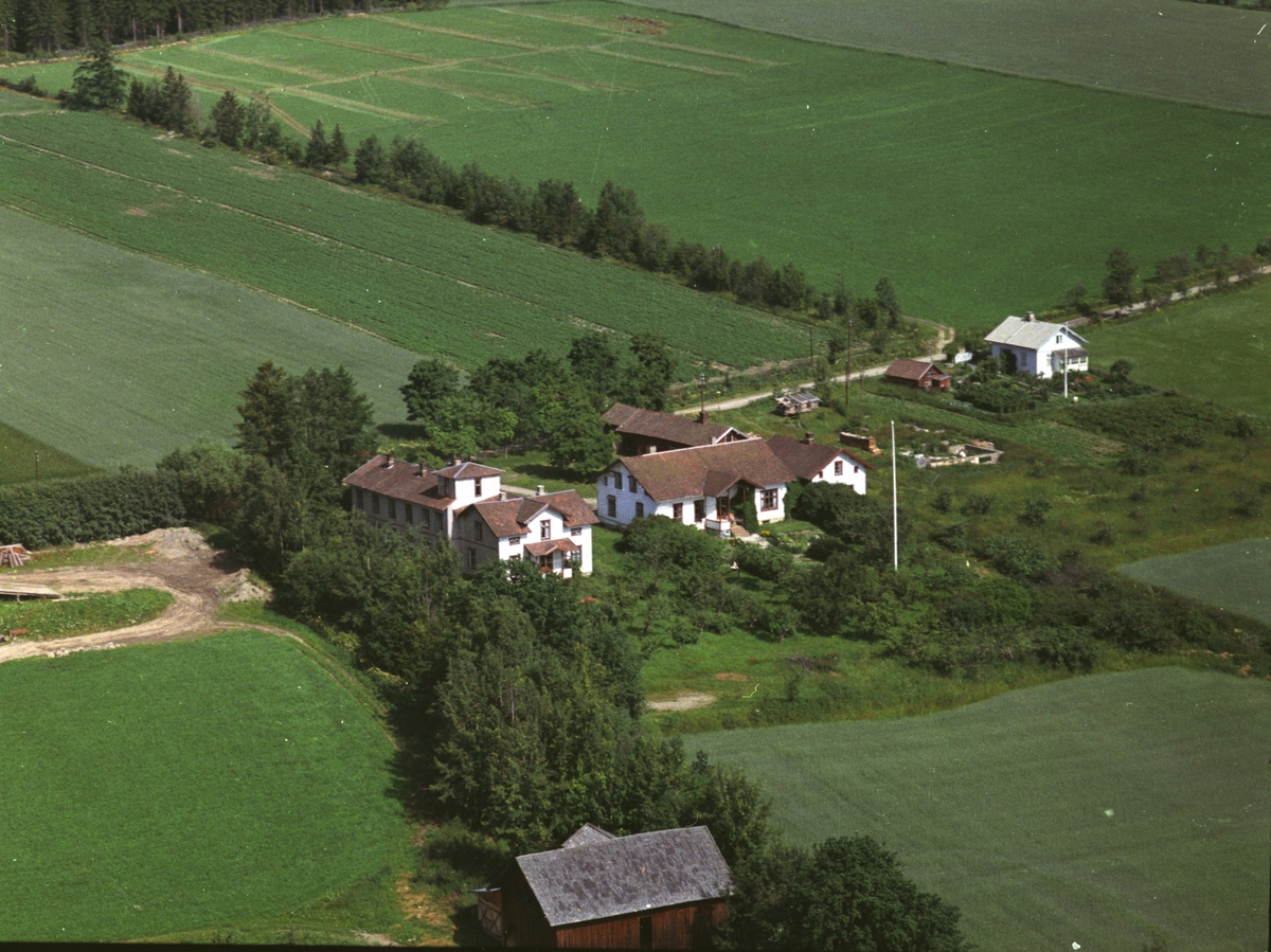 Widerøes Flyveselskap A/S, Flyfoto, småbruk, Tandem, Nes, Hedmark.