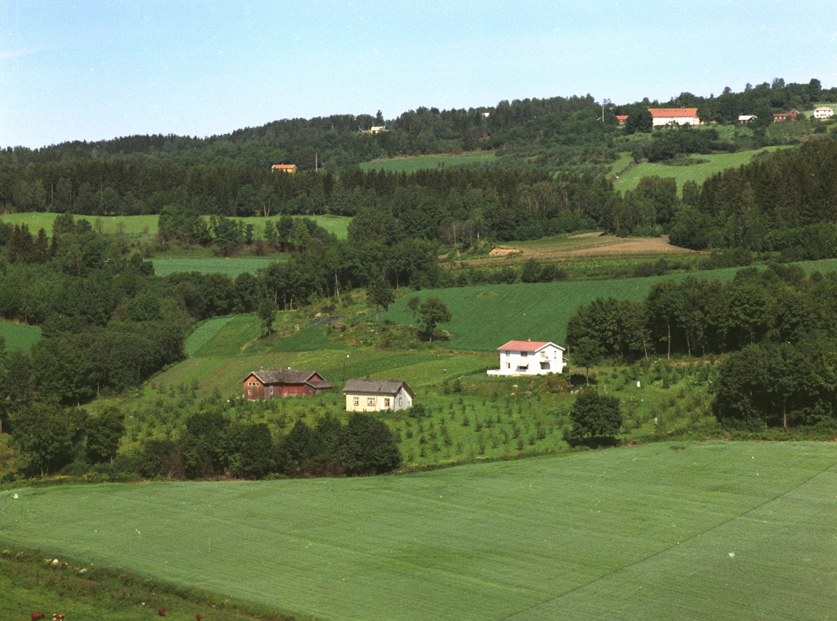 Widerøes Flyveselskap A/S, Flyfoto, småbruk, Nes, Hedmark.