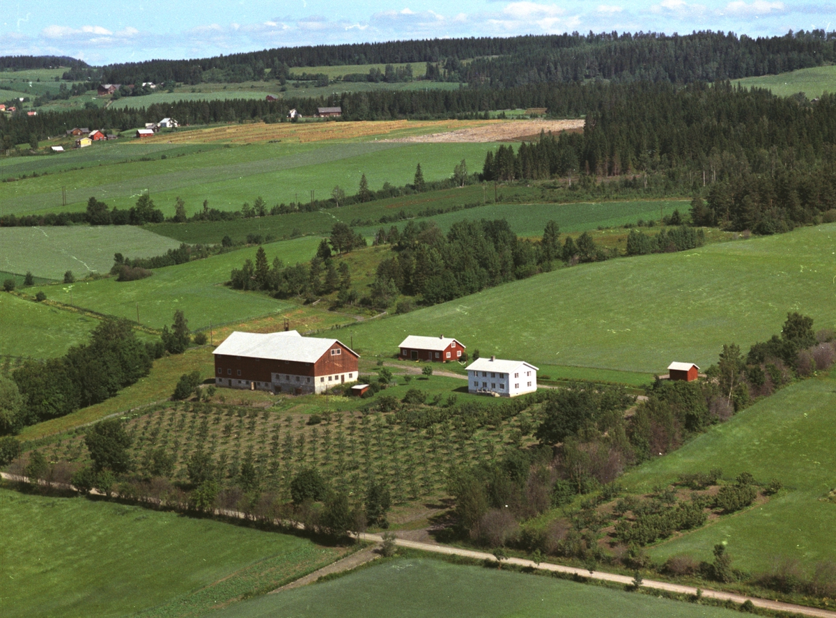 Widerøes Flyveselskap A/S, Flyfoto, gardsbruk, Sølvsberg vestre, Nes, Hedmark.