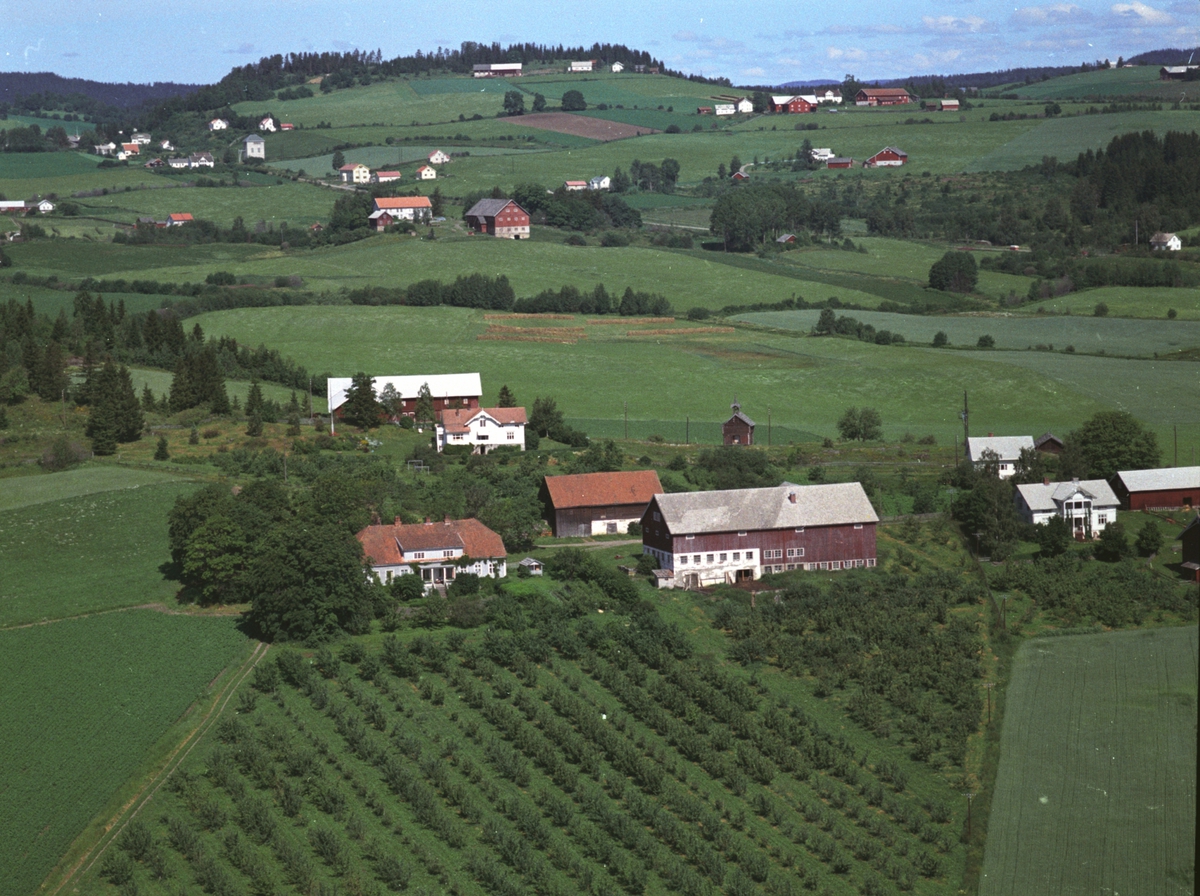 Widerøes Flyveselskap A/S, Flyfoto, gardsbruk, Kaulum vestre, Nes, Hedmark.