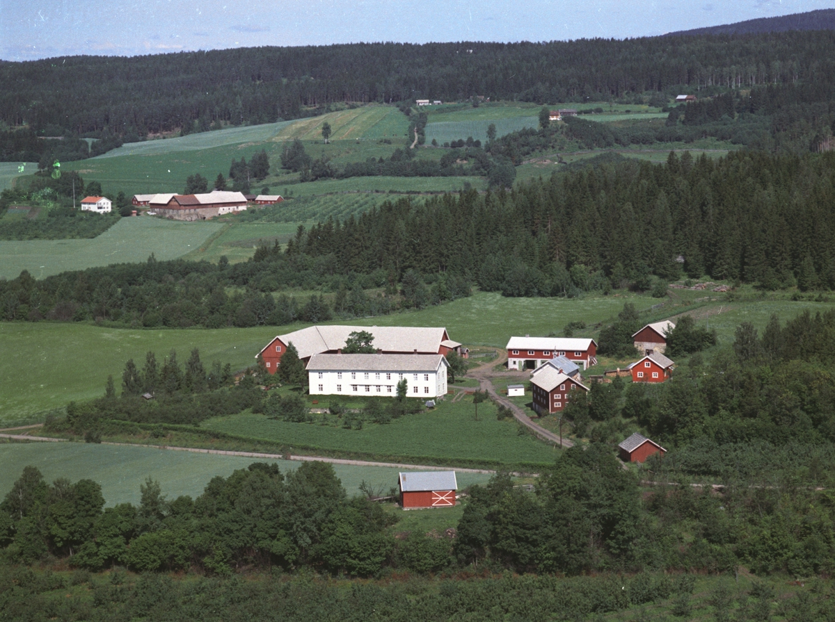 Widerøes Flyveselskap A/S, Flyfoto, gardsbruk, Gjestvang nedre, Nes, Hedmark.
