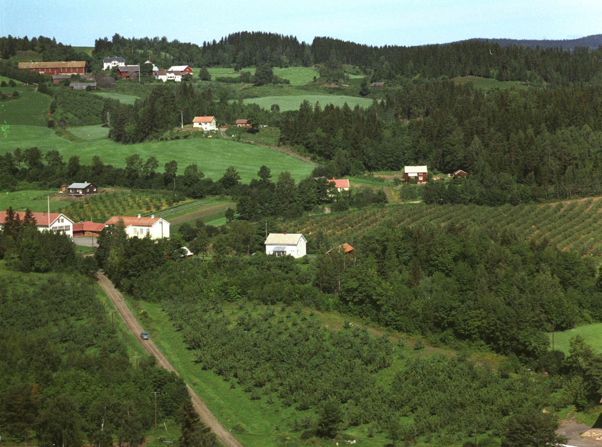 Widerøes Flyveselskap A/S, Flyfoto, Fredheim, skole, frukttrær, boliger, Nes, Hedmark.