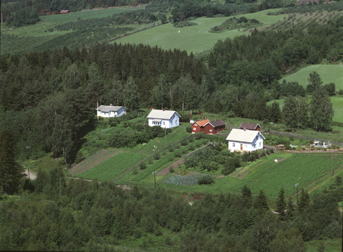 Widerøes Flyveselskap A/S, Flyfoto, boliger, Fredheimgrenda, Nes, Hedmark.