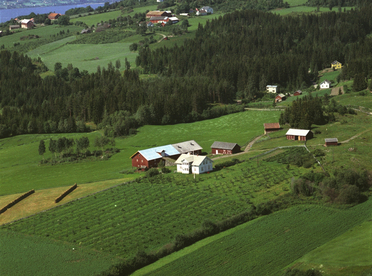 Widerøes Flyveselskap A/S, Flyfoto, gardsbruk, Teksum, Nes, Hedmark.