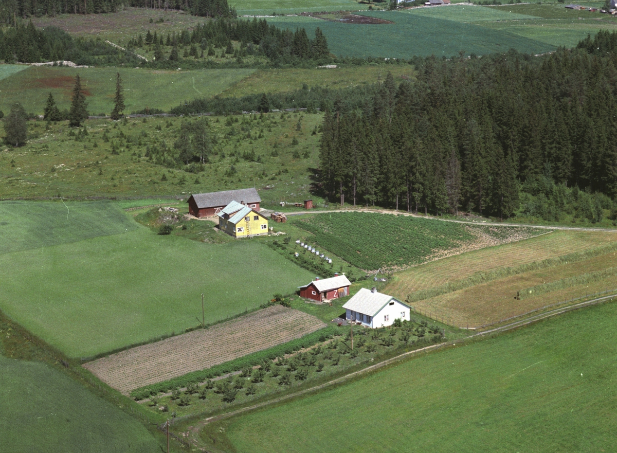 Widerøes Flyveselskap A/S, Flyfoto, småbruk, Tregunn, Ekeberg, Nes, Hedmark.