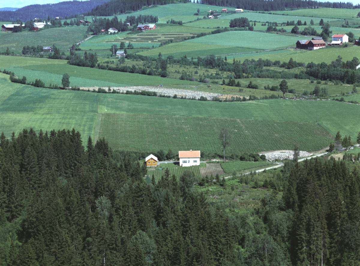 Widerøes Flyveselskap A/S, Flyfoto, småbruk, Velang, Nes, Hedmark.