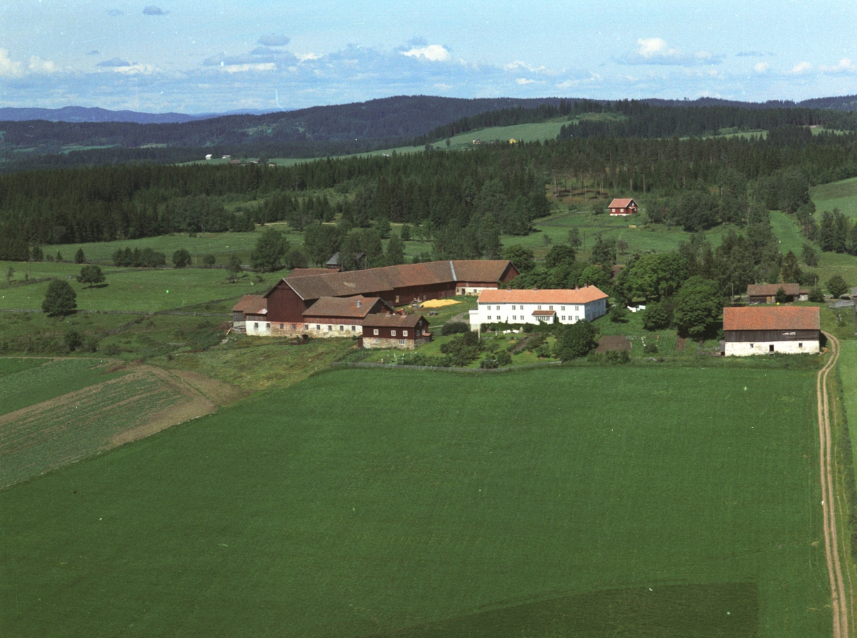 Widerøes Flyveselskap A/S, Flyfoto, gardsbruk, Ousdal, Nes, Hedmark.