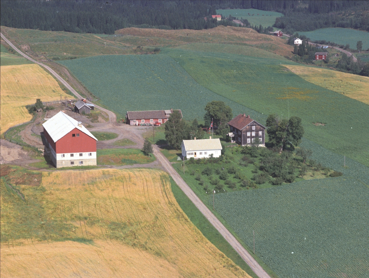 Widerøes Flyveselskap A/S, Flyfoto, Grini gard, Veldre, Ringsaker.