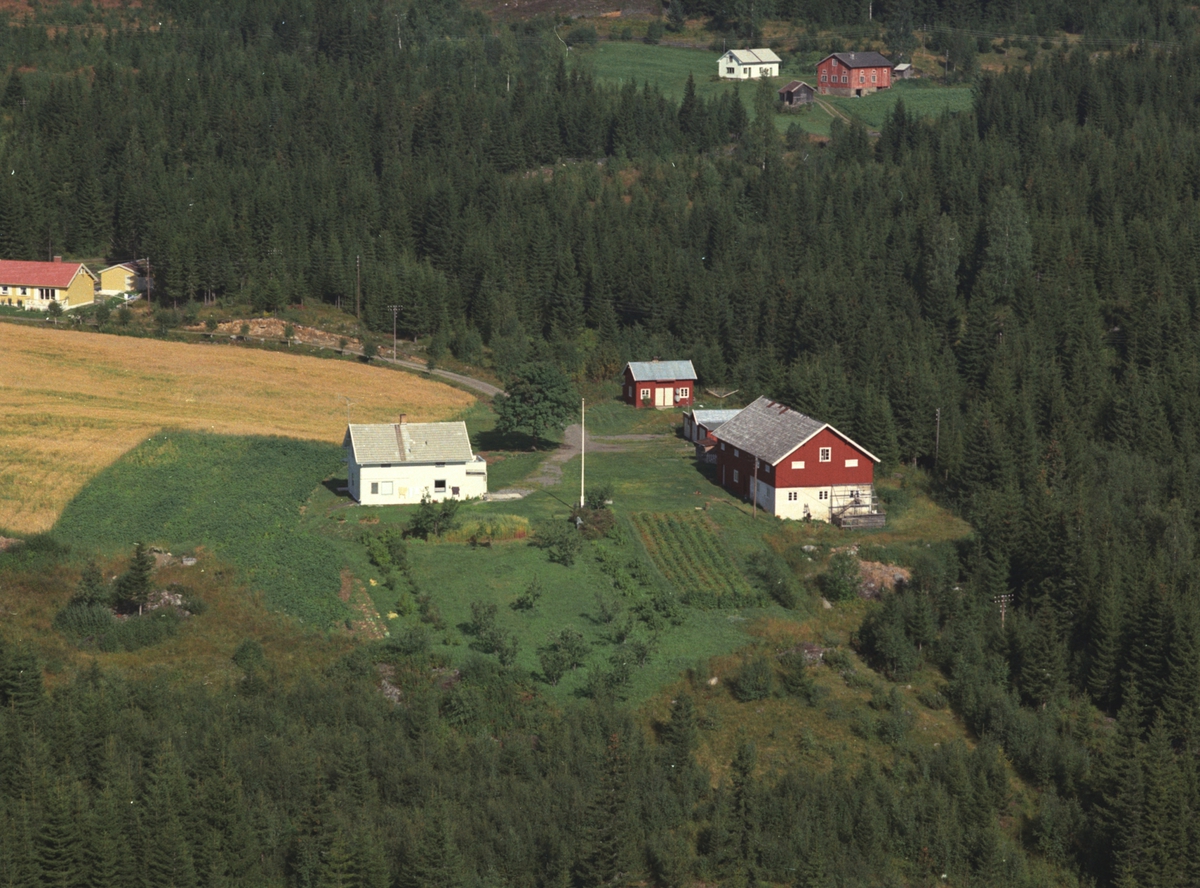 Widerøes Flyveselskap A/S, Flyfoto, Nyløkken, Veldre, Ringsaker.