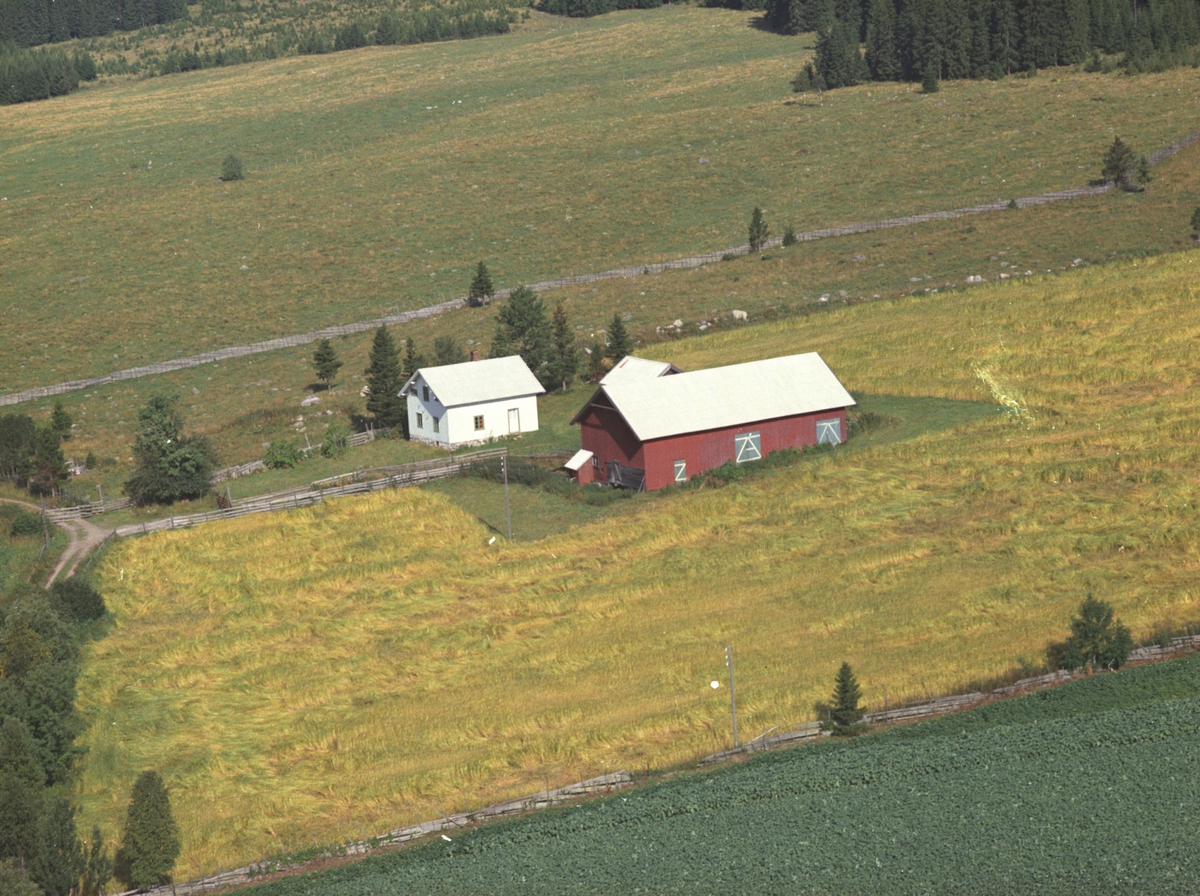 Widerøes Flyveselskap A/S, Flyfoto, Ås, Veldre, Ringsaker.