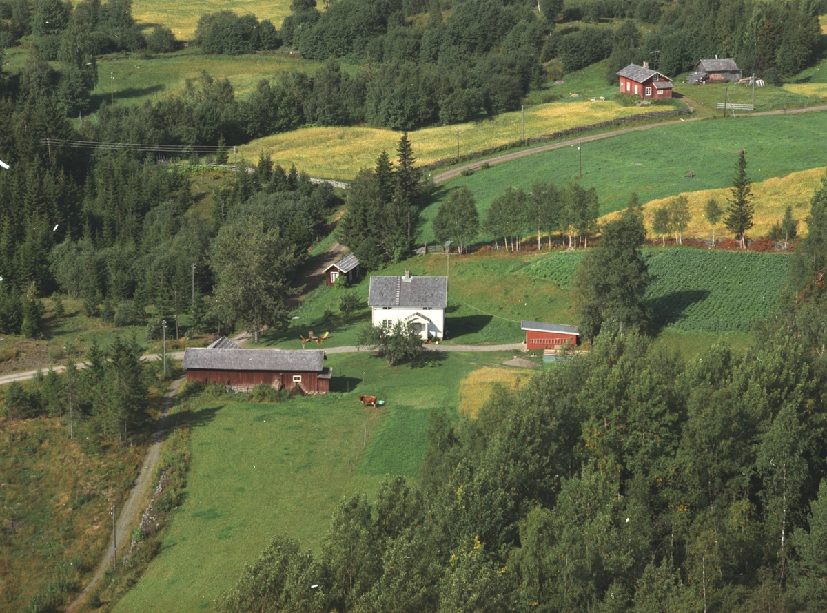 Widerøes Flyveselskap A/S, Flyfoto, Jørnstuen under Grini, Veldre, Ringsaker.