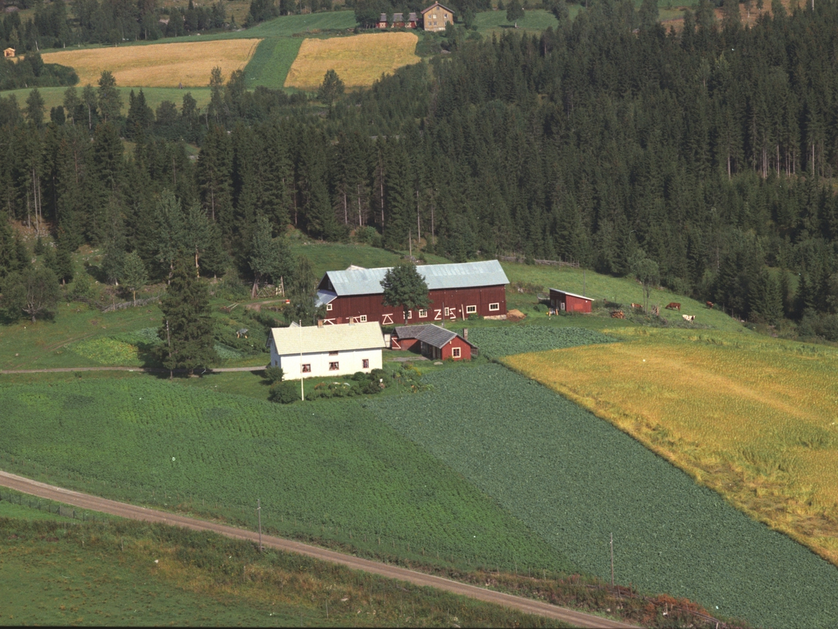Widerøes Flyveselskap A/S, Flyfoto, Kleiva, Veldre, Ringsaker.